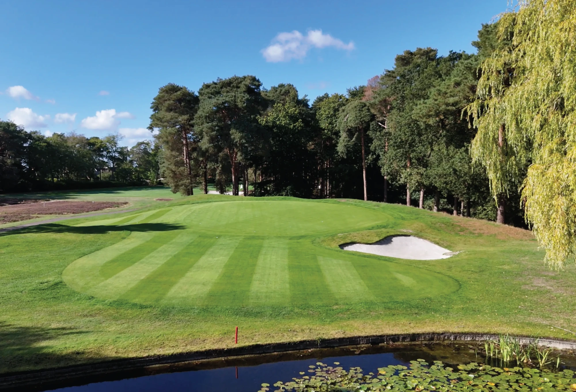 Camberley Heath Drone Still