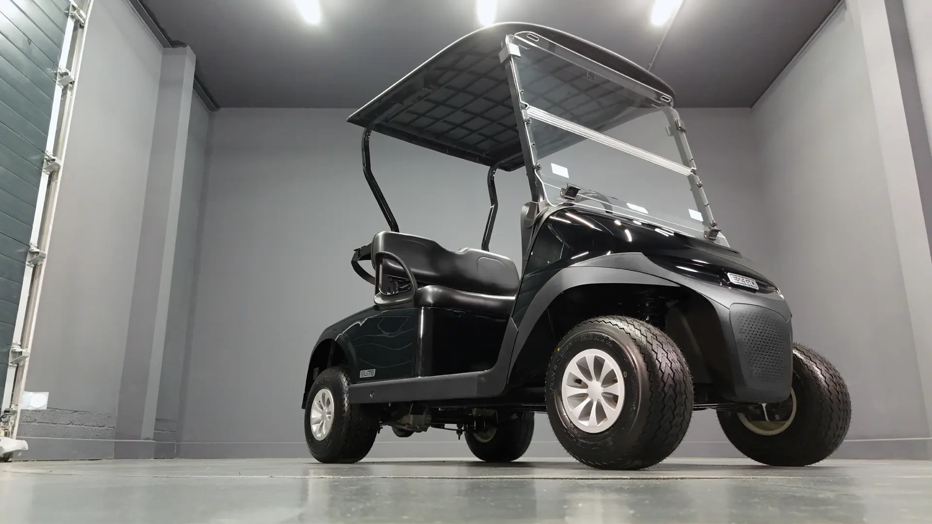 E-Z-GO-RXV-Golf-Buggies